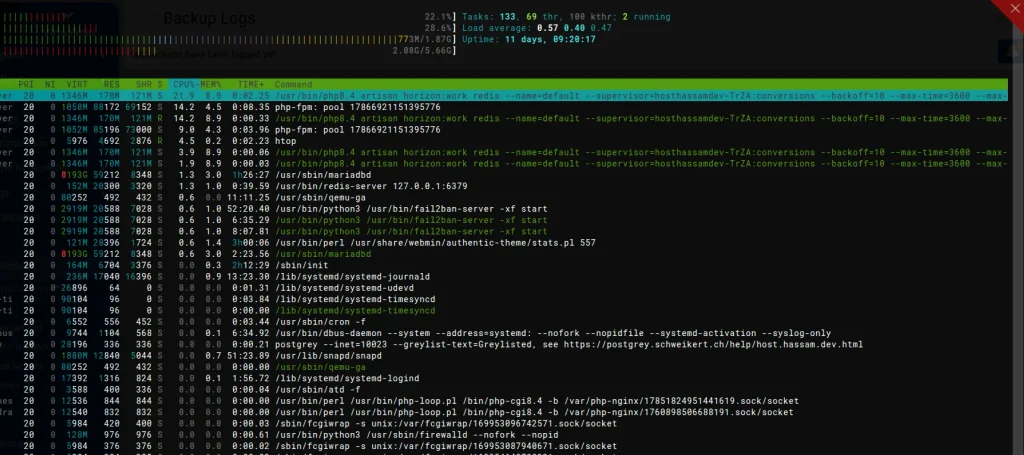 Deploying Laravel with Inertia SSR, Bun, Horizon, Reverb, Supervisor, and Correct File Permissions 4 htop preview of laravel live queue runing